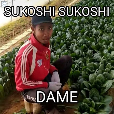 Sukoshi sukoshi dame  And yes
